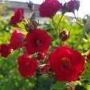 정열농장 이미지