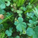 동탄산단6,8길R | 8월