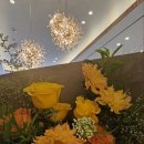 파라다이스 부티크 이미지