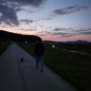 인동저녁노을 이미지