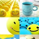 지혜의 샘 이미지