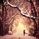 스킨패턴 이미지