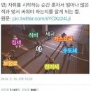모닝청소 네이버블로그
