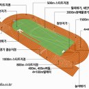 런던올림픽 : 육상과 수영경기 재미있게 보기 이미지