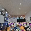 해남군-02 | 노량진 수산물도매시장 해남상회/하늘채광장/오군쉬림프 내돈내산후기