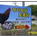 늘푸른농장 1 이미지