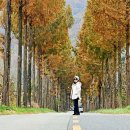 구암마을회관 이미지