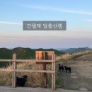 이순남농장 | 간월재 일출산행 초보도 가능한 최단코스, 지금 딱 좋은계절(+염소가족)