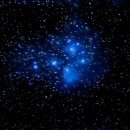 동강민물매운탕 이미지