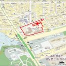 구.복사초 이미지