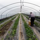 525하우스 이미지