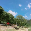 아빠의 캠핑장 이미지