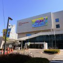 팔도건어물 | 탐험 EP 335]-3년 연속 참여중인 2026 수원메가쇼, 팔도밥상페어를 반드시 참여해야하는 이유와 현장 꿀팁