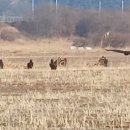 소답동140 이미지