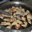육백보물
