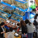 주부마트 네이버블로그