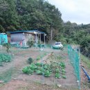 상남동293 이미지