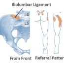 박천길한의원 이미지