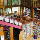 느티나무 도서관 이미지