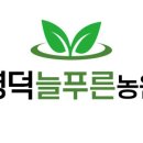 늘푸른농원 - 예산군 충서로 478 | 늘푸른농원