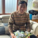 해미사우나(목욕탕) | 그랜드조선제주 아리아 런치 가족식사/ 아빠 환갑 선물/ 돈케이크 후기/ 커플 방콕 여행, 짧고 굵은 한달