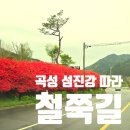 섬진강변 철쭉길 | 곡성 섬진강 따라 철쭉길