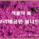 나드리 Daum카페