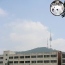 수도여자고등학교 이미지