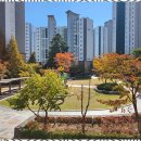 호매실서희부동산공인중개사사무소 | 호매실역서희스타힐스 수원 부동산, 마음 편히 맡겨보세요