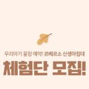 베르소C 이미지