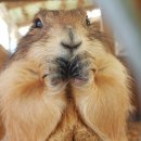 송산목장 이미지