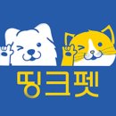 동물병원 WITH-PET 이미지