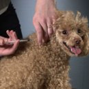 한빛동물병원 이미지