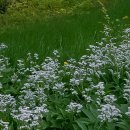 화서공원 이미지