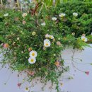 노후설계상담사 1급 과정 이미지