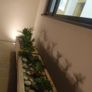 아른 독채 풀빌라 이미지