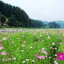 코스모스산업