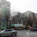 강남시장(2) 이미지