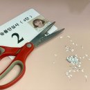 새샘태권도장 이미지