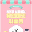 시흥시청사 | 🌟 세종고양이분양, 유앤미펫시흥점에서 만난 특별한 인연