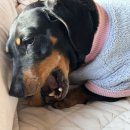 컷팅클럽 | [부산/광안리] 광안리타코맛집 타코사운즈클럽 부산치미창가 남천동타코 주차꿀팁 내돈내산 포함한 솔직...