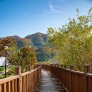 삼기저수지 등잔길 이미지