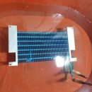 강서구-45 이미지