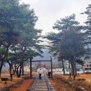 문경 오미자테마터널 이미지