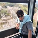 MZ따라잡기 인스타그램 이미지