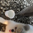 오스타펜션 이미지