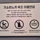 솔스테이 풀빌라&료칸 이미지