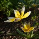 사랑의 창조 이미지