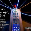 (주)우리트리