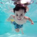 프리라움 수영장 이미지